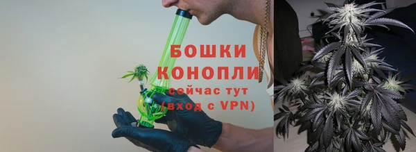 шишки Баксан