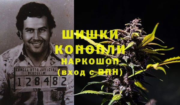 шишки Баксан