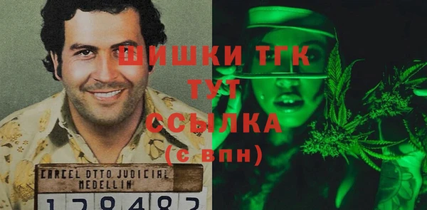 шишки Баксан