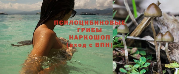 шишки Баксан