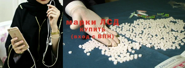 шишки Баксан