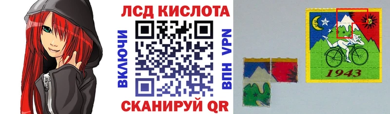 дарнет шоп  Белая Холуница  гидра рабочий сайт  Наркотические марки 1500мкг 