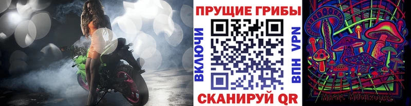 Галлюциногенные грибы Psilocybine cubensis  Белая Холуница 